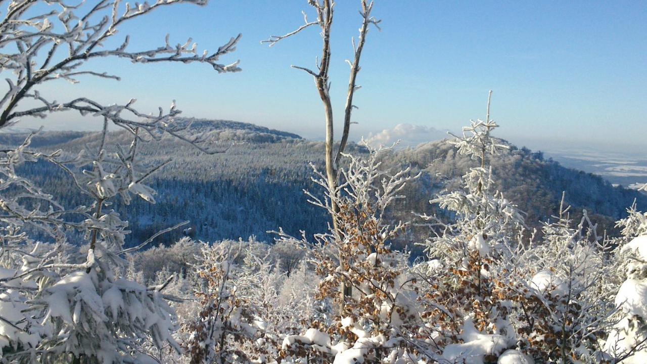 Horská chata Hubert Bedřichov Esterno foto